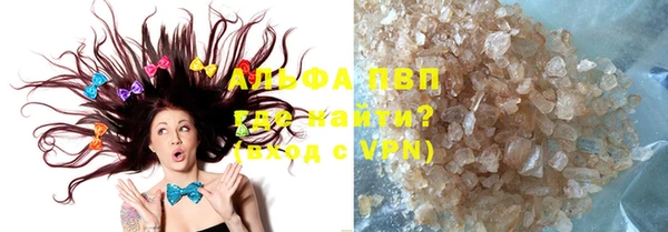 прущие грибы Арсеньев