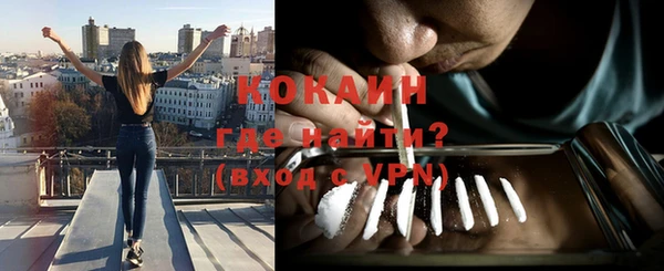 прущие грибы Арсеньев