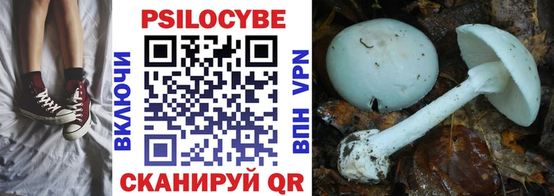 Купить где Данков Галлюциногенные грибы Psilocybe